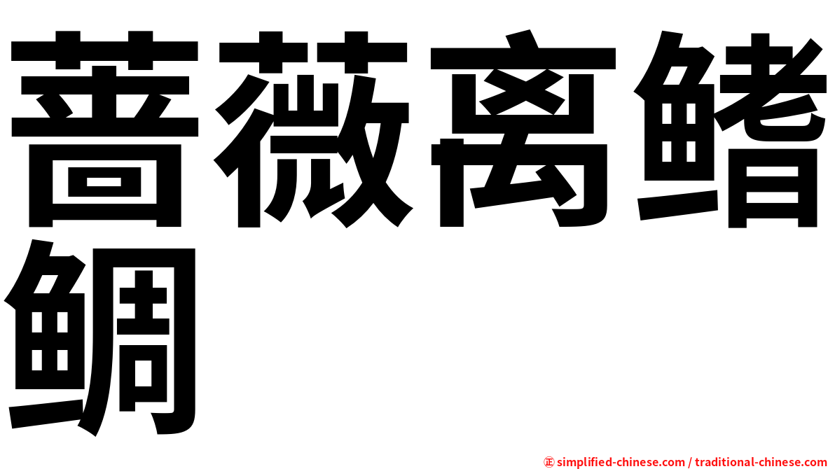 蔷薇离鳍鲷