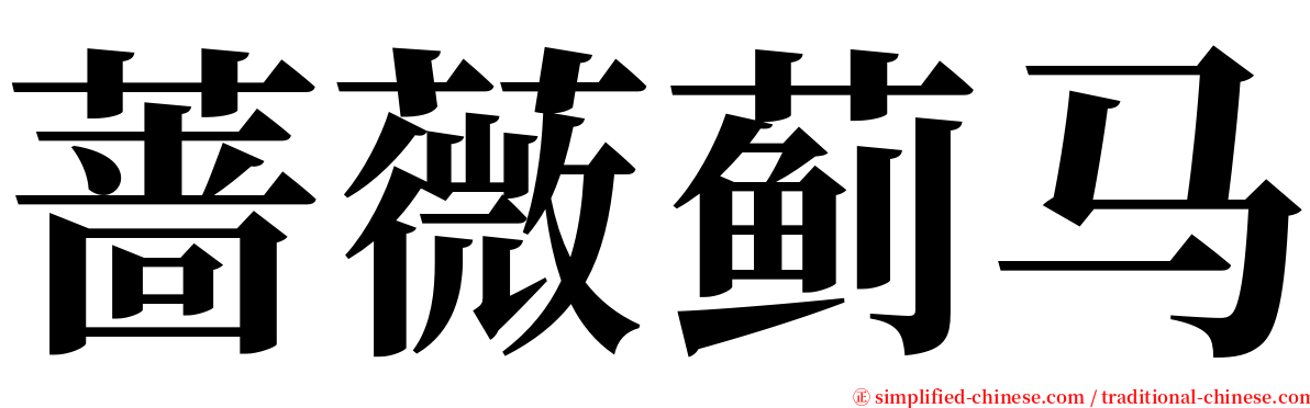 蔷薇蓟马 serif font