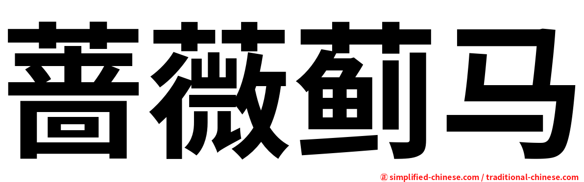 蔷薇蓟马