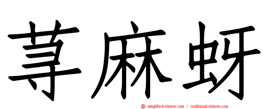 荨麻蚜