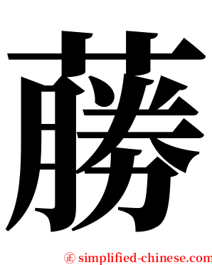 蕂 serif font