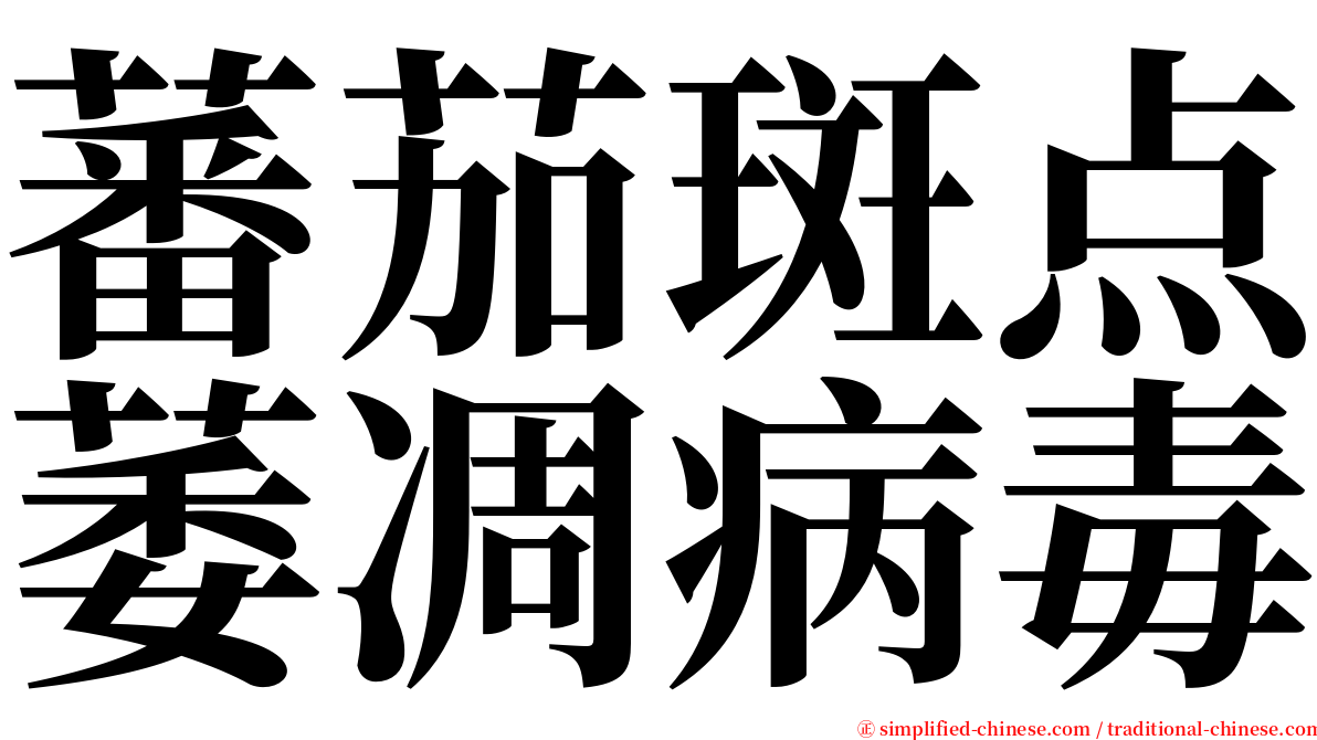 蕃茄斑点萎凋病毒 serif font