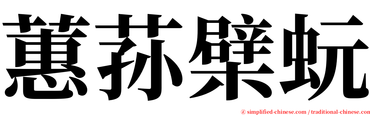 蕙荪檗蚖 serif font