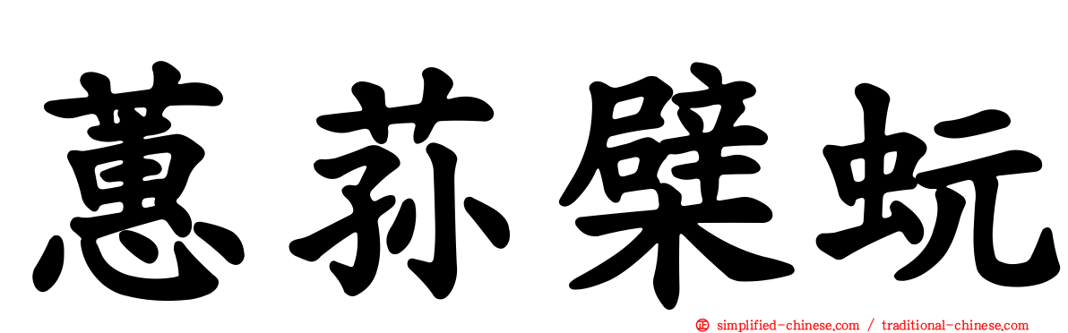 蕙荪檗蚖