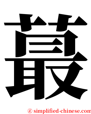 蕞 serif font