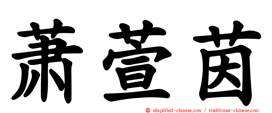 萧萱茵