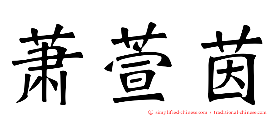 萧萱茵