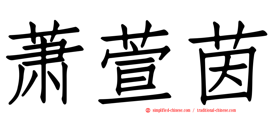 萧萱茵