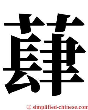 蕼 serif font