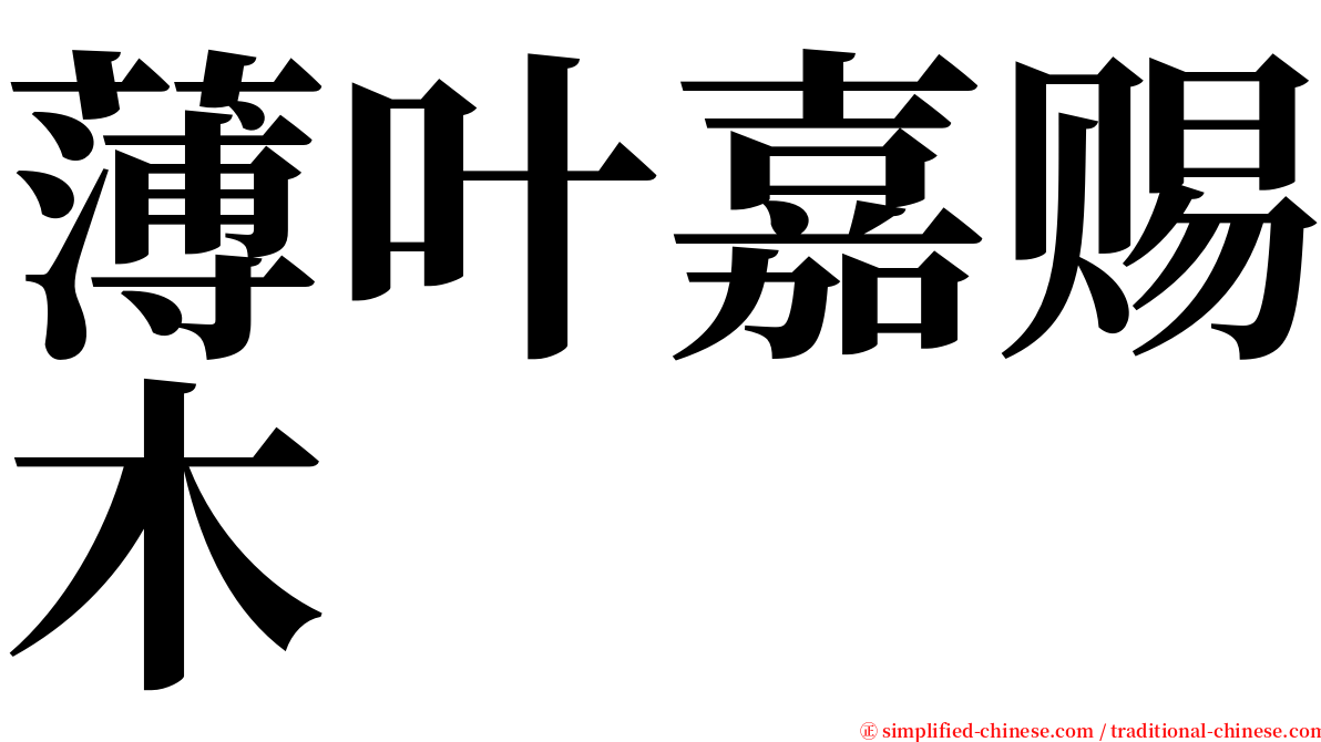 薄叶嘉赐木 serif font