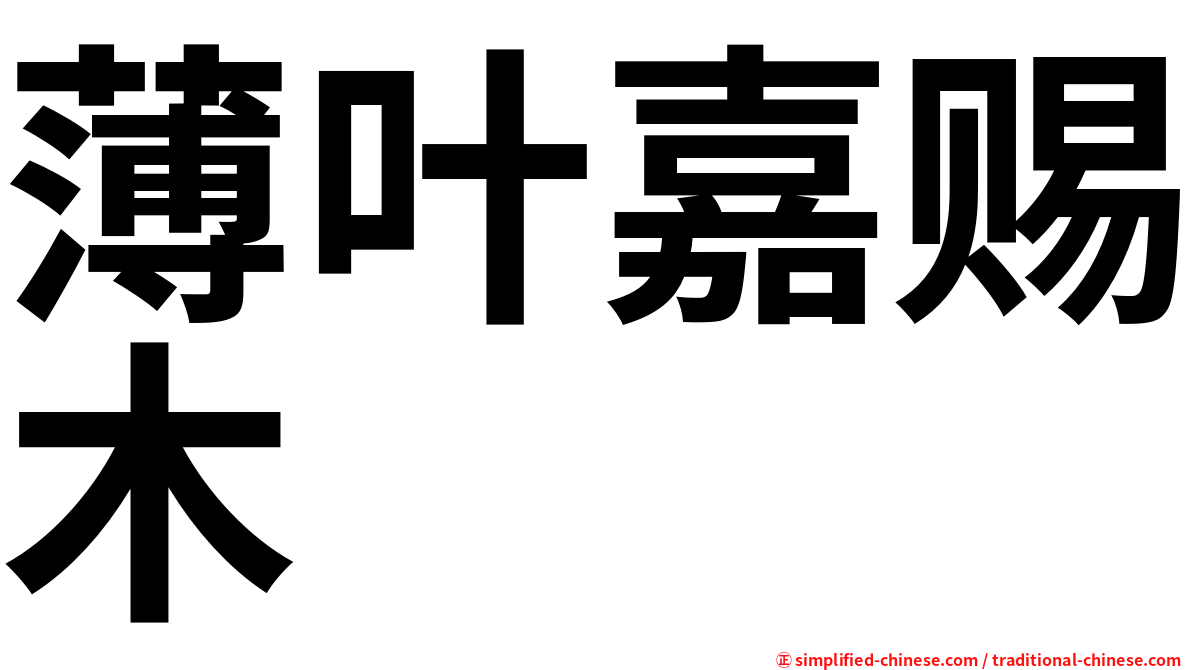 薄叶嘉赐木