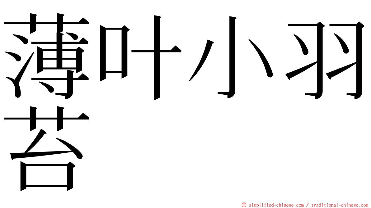 薄叶小羽苔 ming font