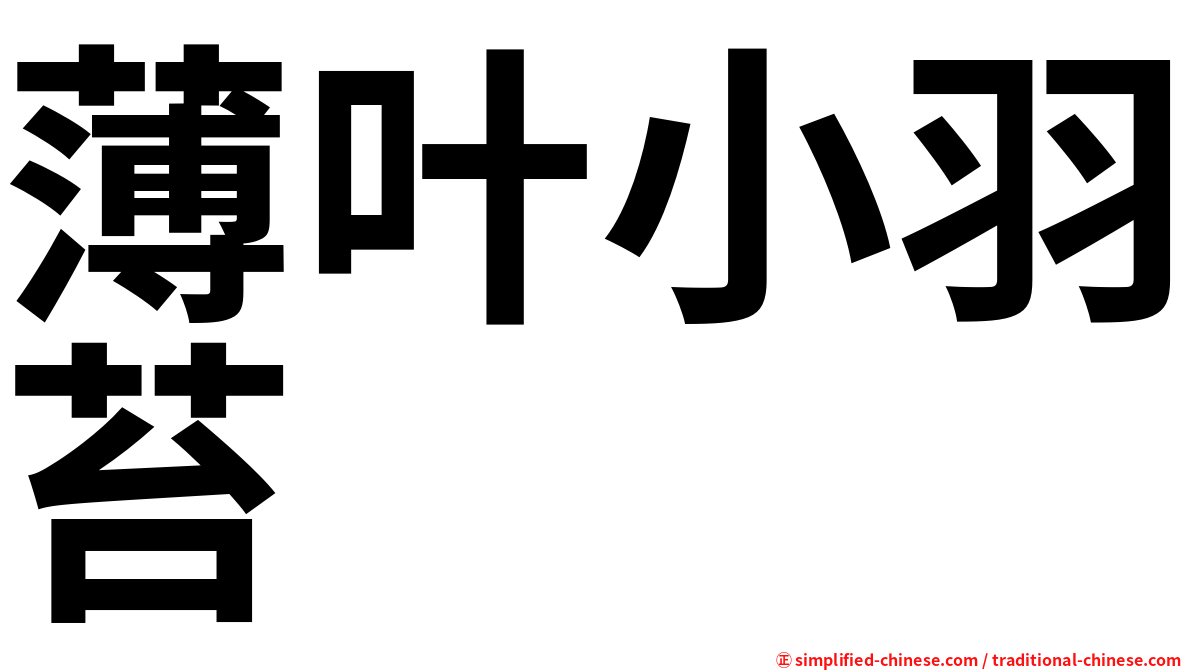 薄叶小羽苔
