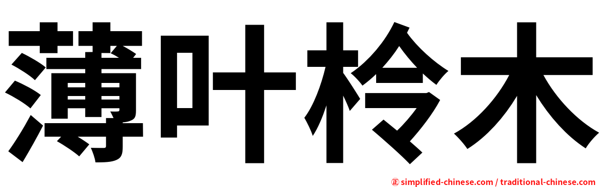 薄叶柃木