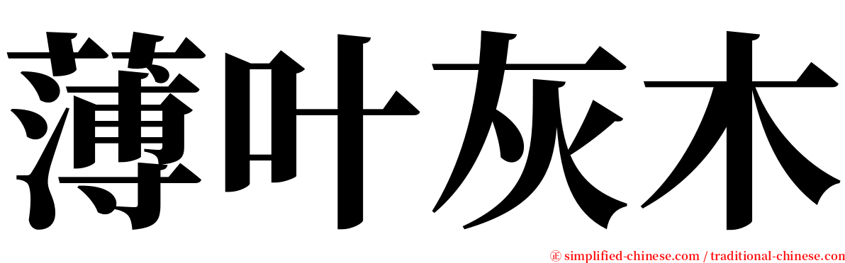 薄叶灰木 serif font