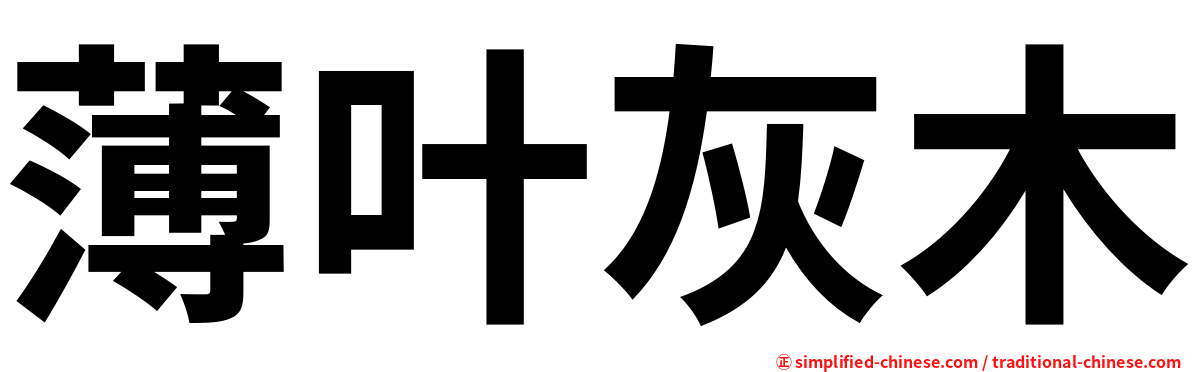 薄叶灰木