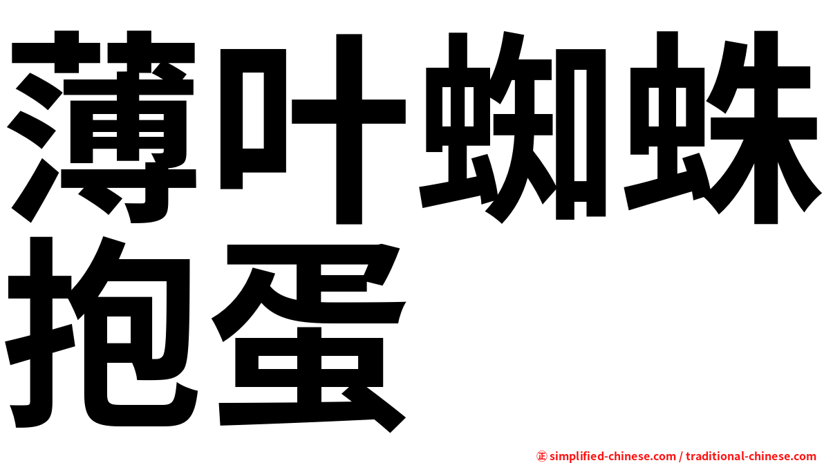薄叶蜘蛛抱蛋