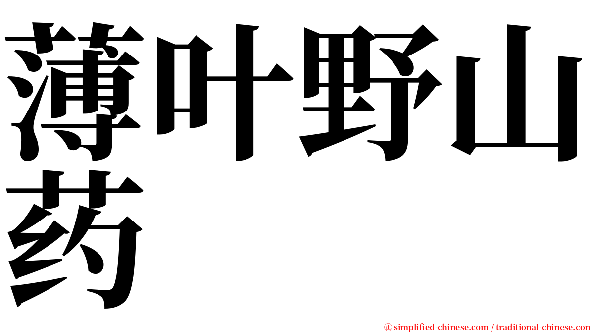 薄叶野山药 serif font