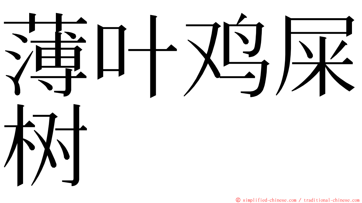 薄叶鸡屎树 ming font