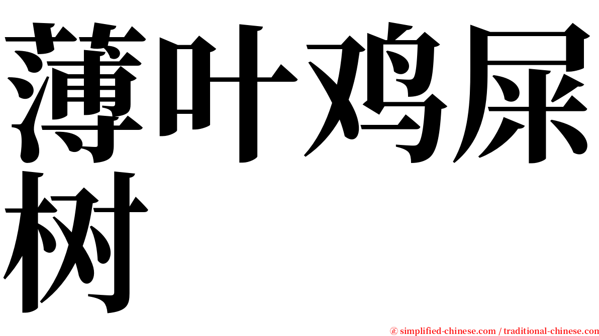 薄叶鸡屎树 serif font