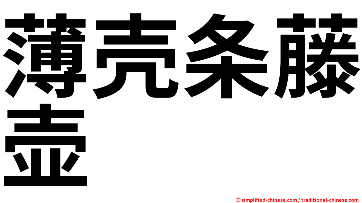 薄壳条藤壶