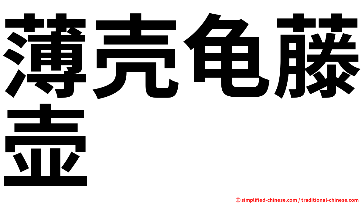 薄壳龟藤壶
