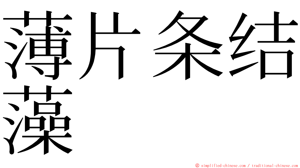 薄片条结藻 ming font