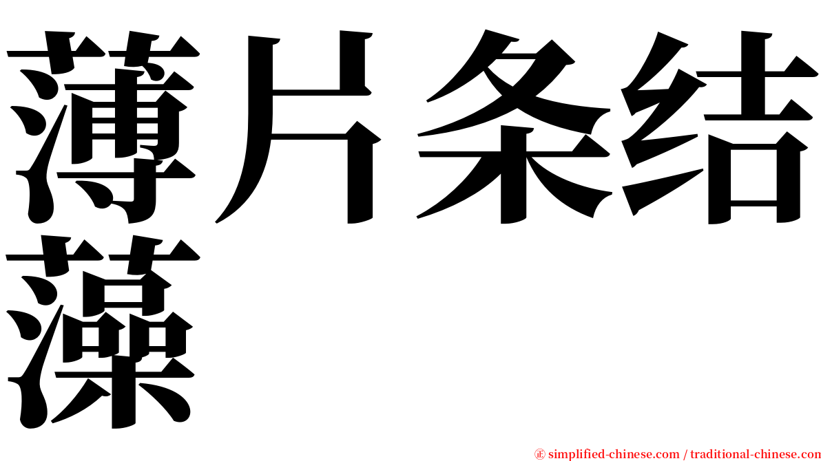 薄片条结藻 serif font