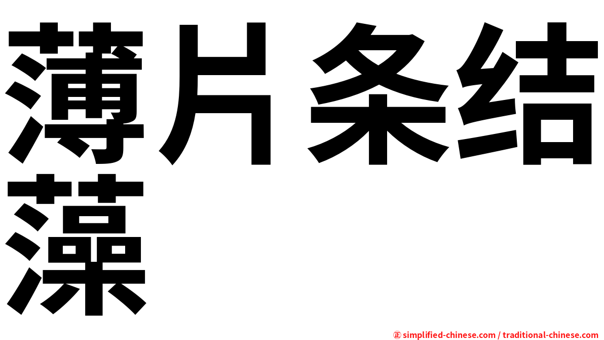 薄片条结藻