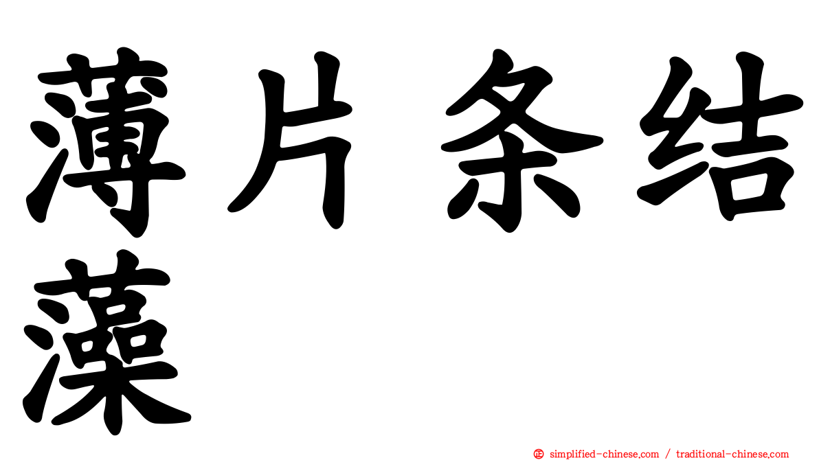 薄片条结藻