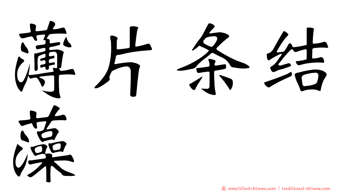 薄片条结藻