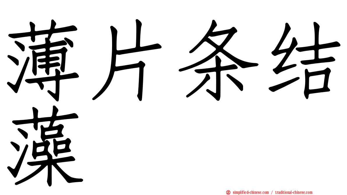 薄片条结藻
