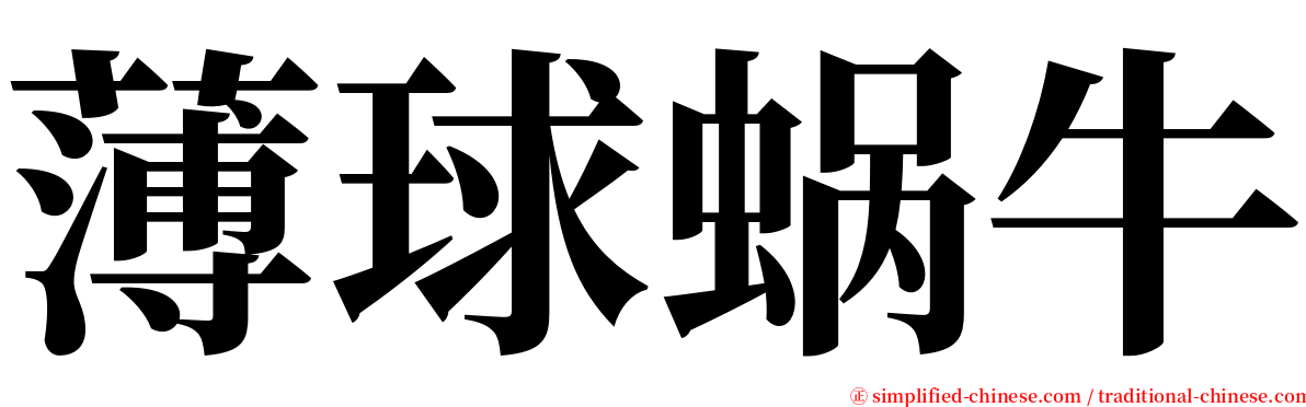 薄球蜗牛 serif font