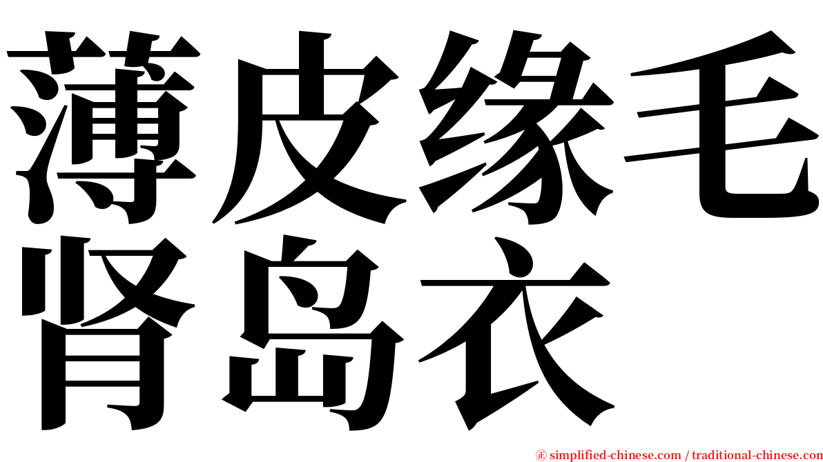 薄皮缘毛肾岛衣 serif font