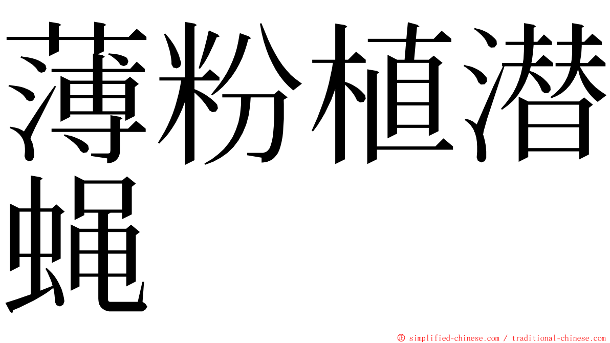 薄粉植潜蝇 ming font