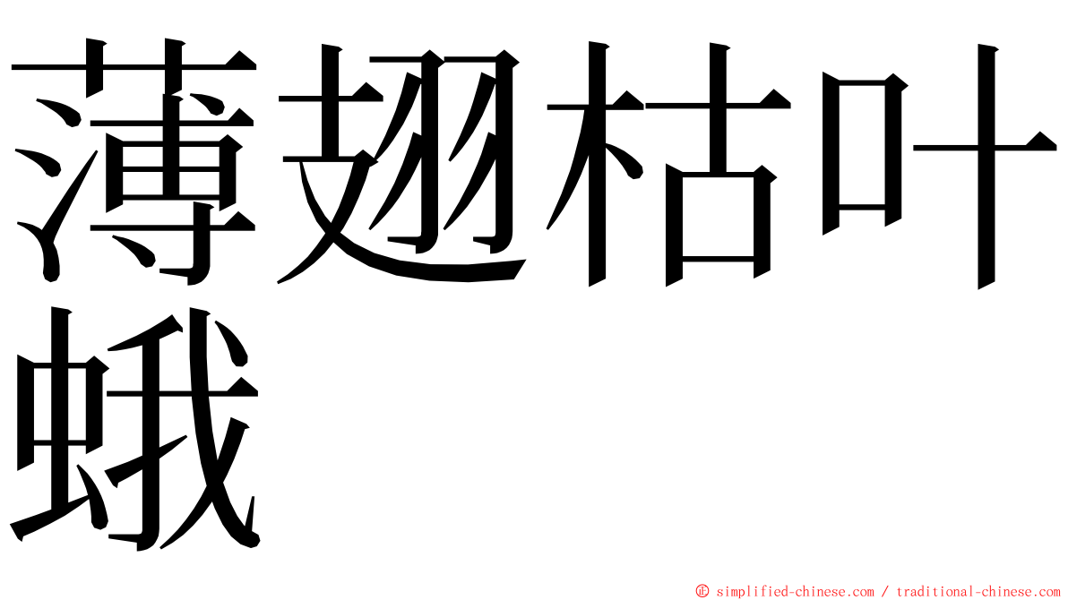 薄翅枯叶蛾 ming font