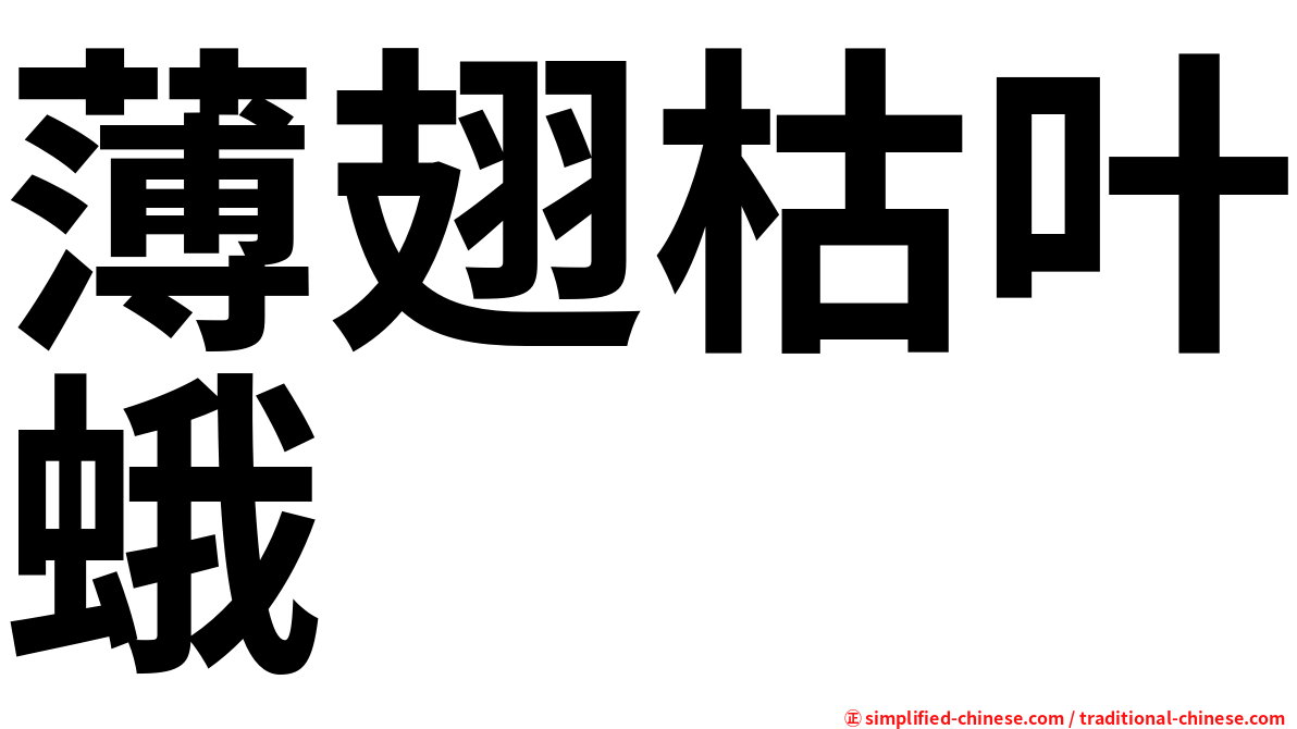 薄翅枯叶蛾