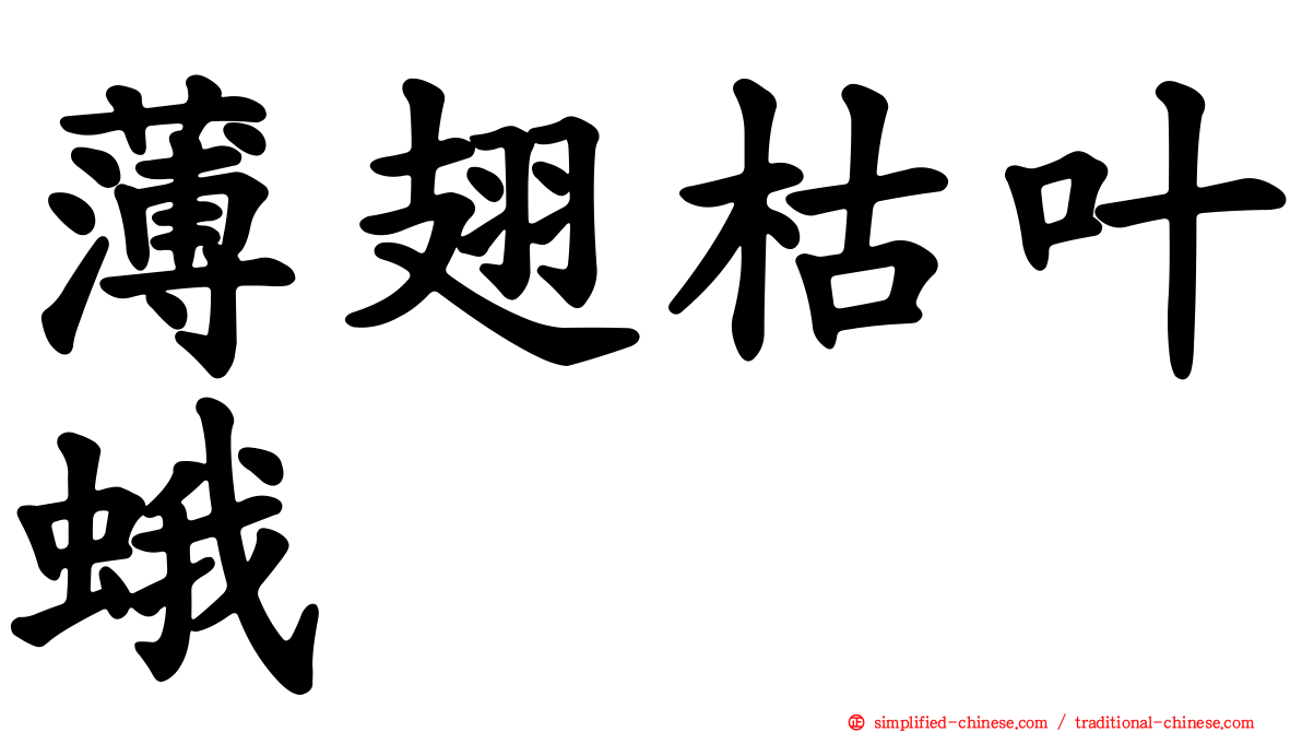 薄翅枯叶蛾