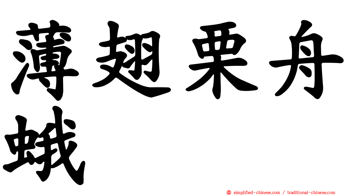 薄翅栗舟蛾
