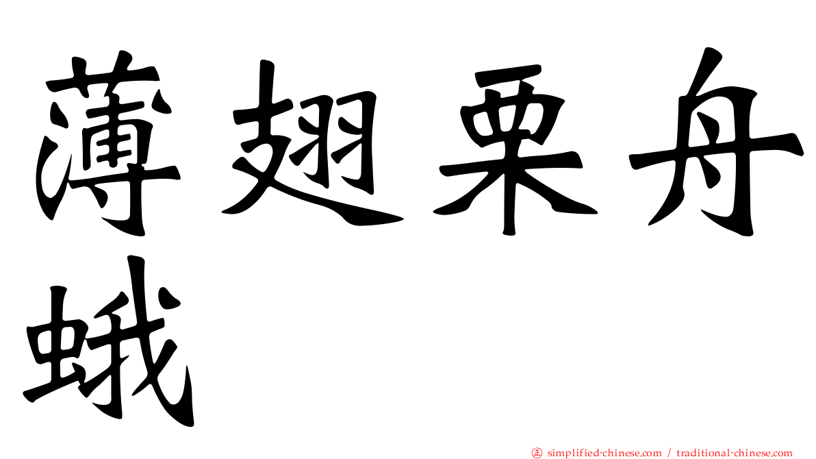 薄翅栗舟蛾