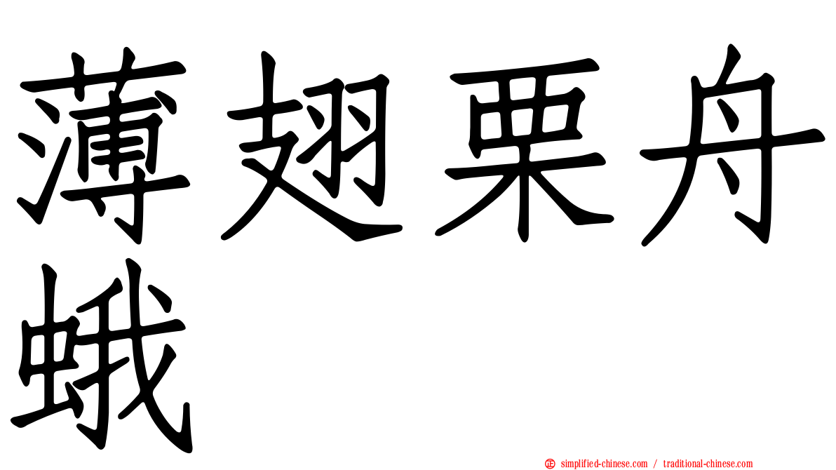 薄翅栗舟蛾
