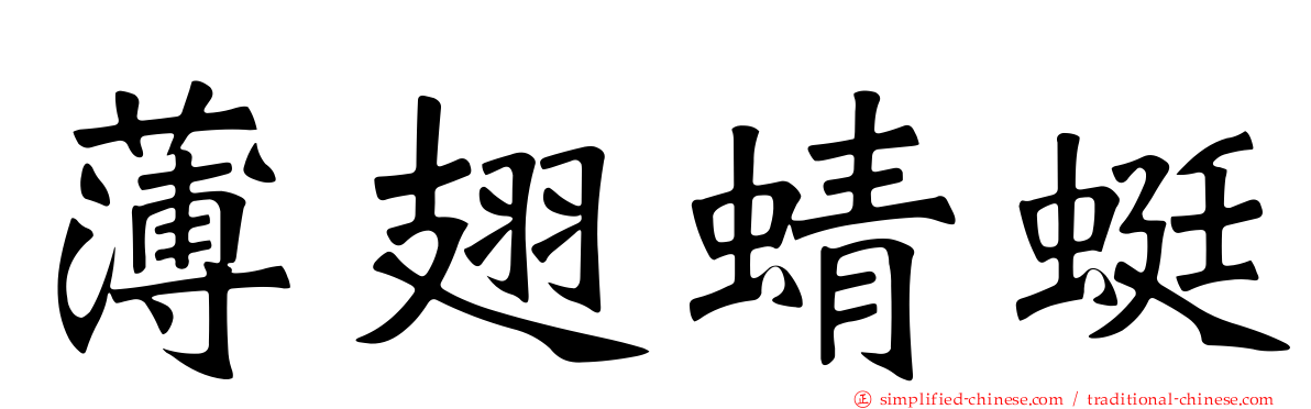 薄翅蜻蜓