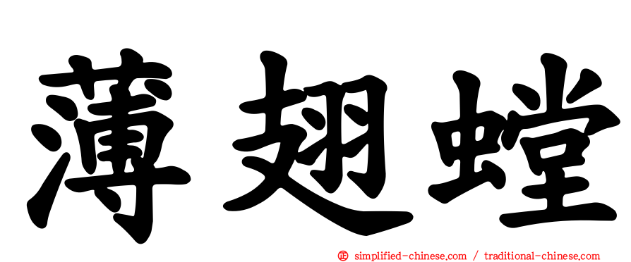 薄翅螳