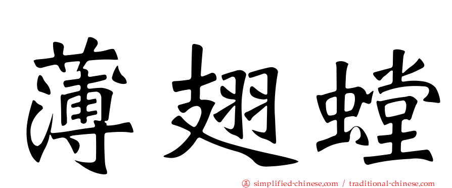 薄翅螳