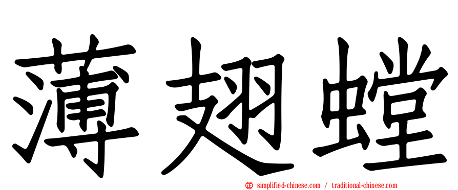 薄翅螳