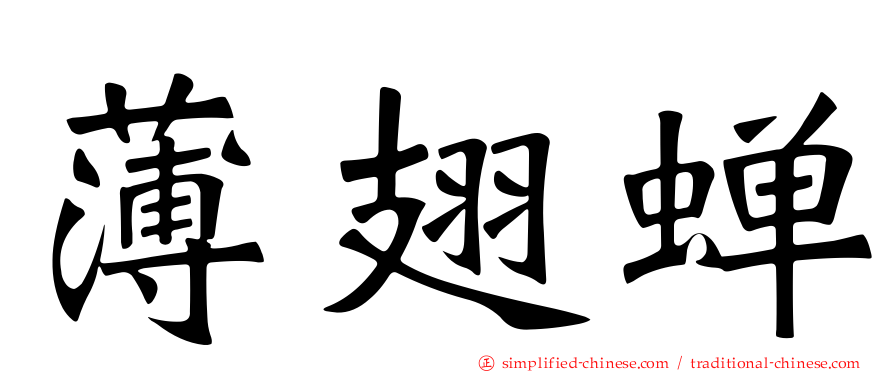薄翅蝉