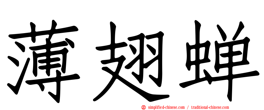 薄翅蝉