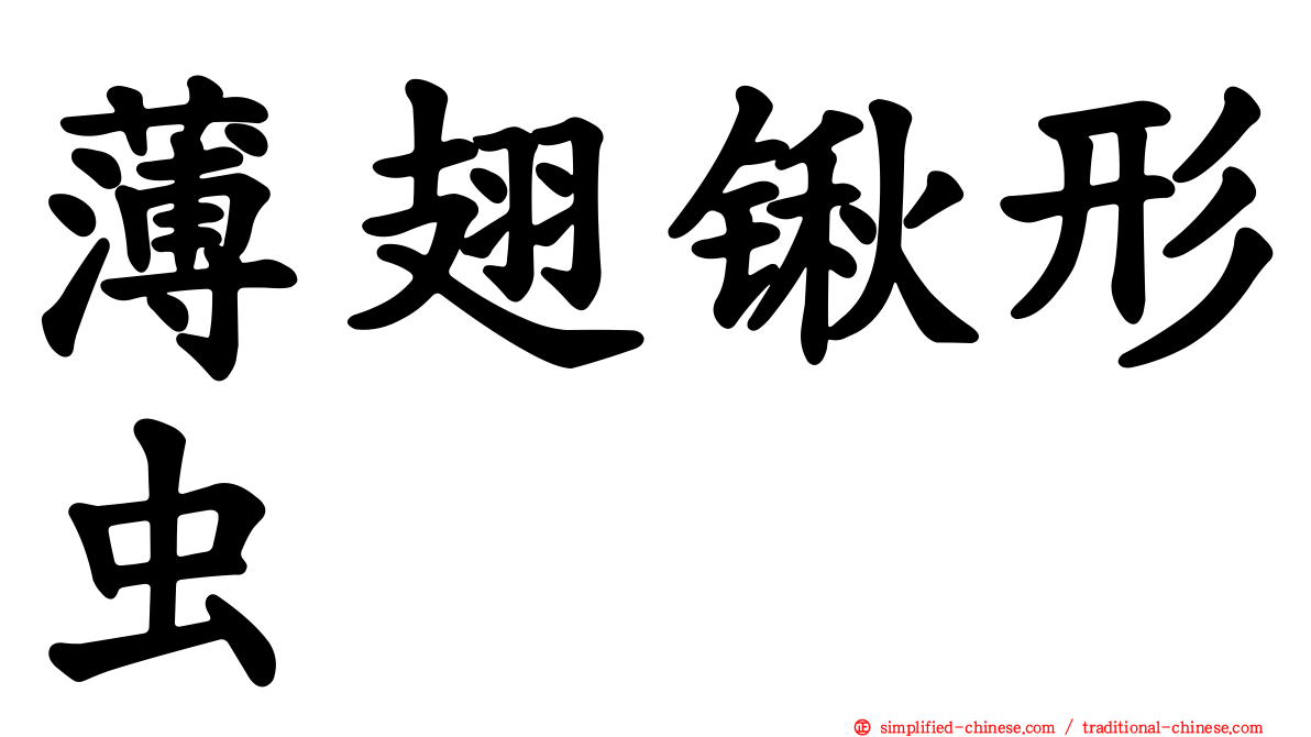 薄翅锹形虫