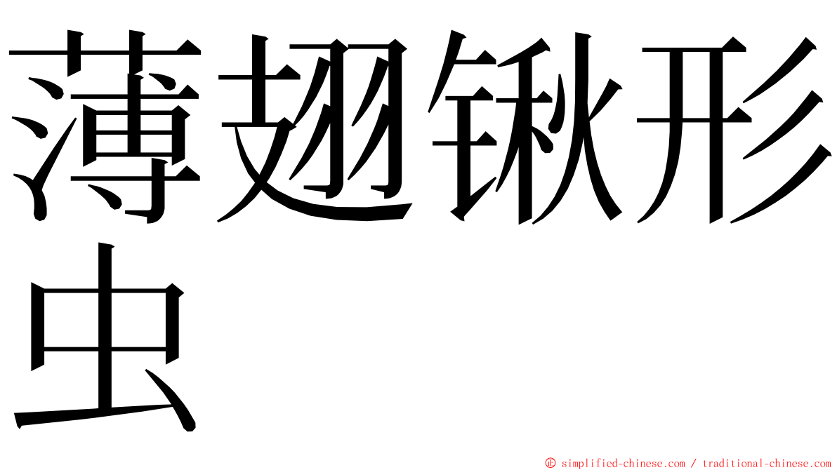 薄翅锹形虫 ming font