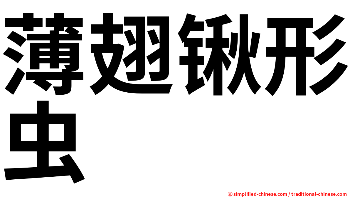 薄翅锹形虫